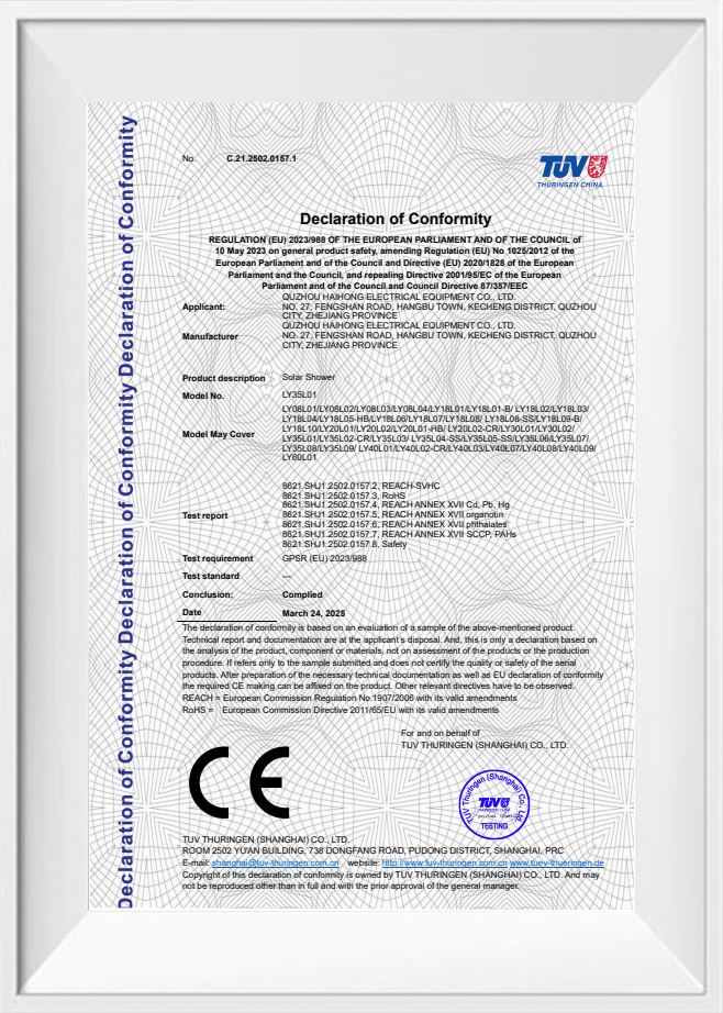 Dichiarazione di conformità